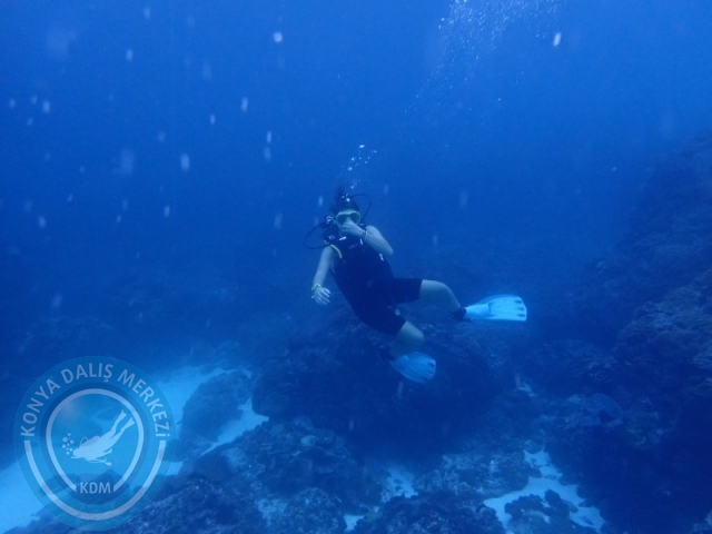 02-13 Eylül BALİ