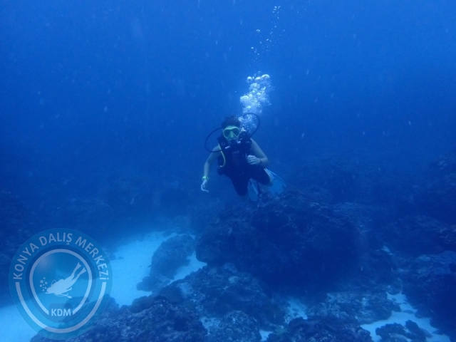 02-13 Eylül BALİ