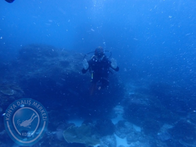 02-13 Eylül BALİ