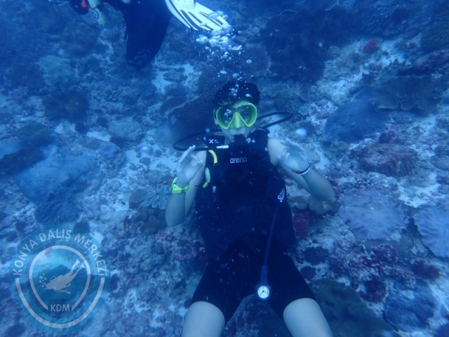 02-13 Eylül BALİ
