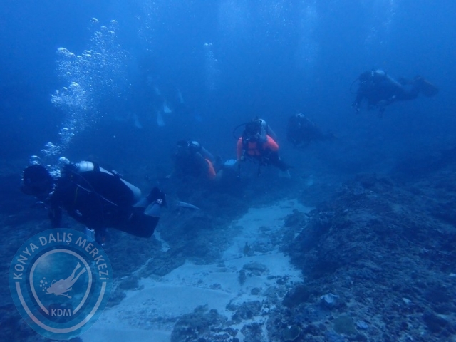 02-13 Eylül BALİ