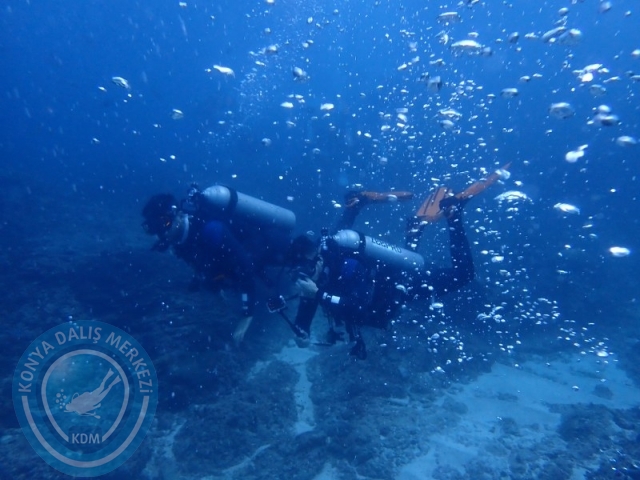 02-13 Eylül BALİ