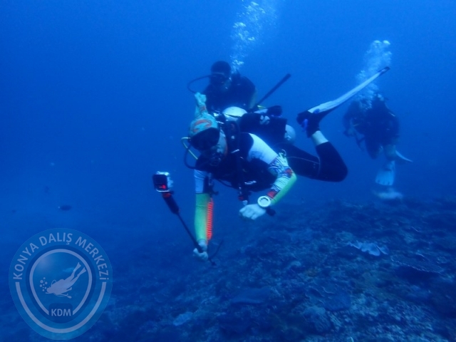 02-13 Eylül BALİ