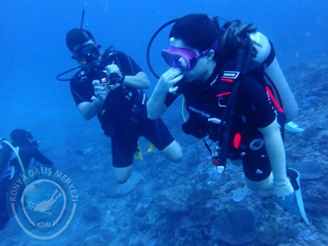 02-13 Eylül BALİ