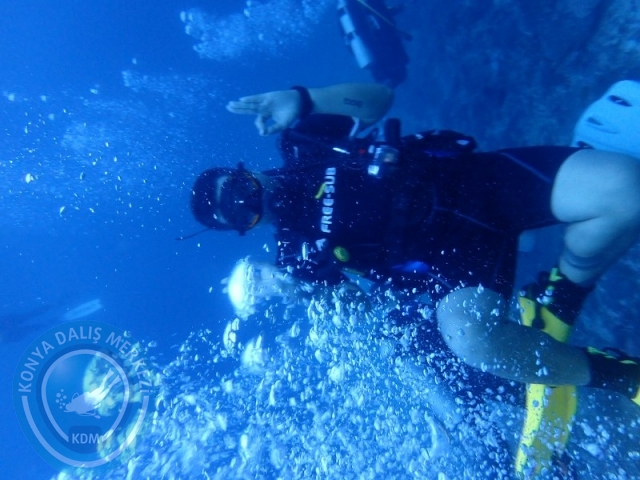 02-13 Eylül BALİ