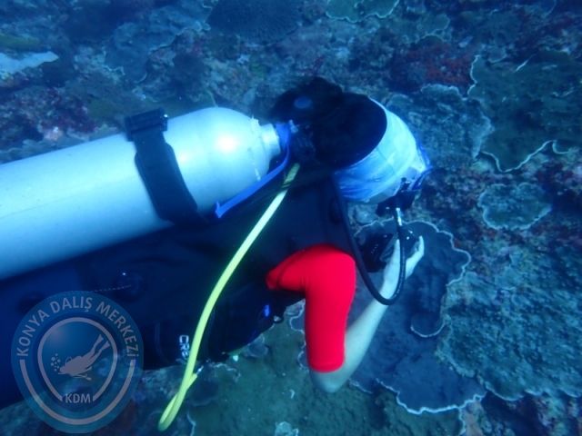 02-13 Eylül BALİ