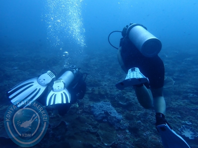 02-13 Eylül BALİ