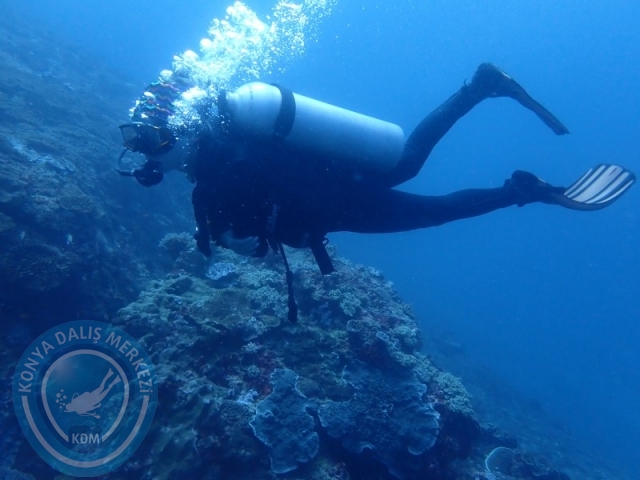 02-13 Eylül BALİ