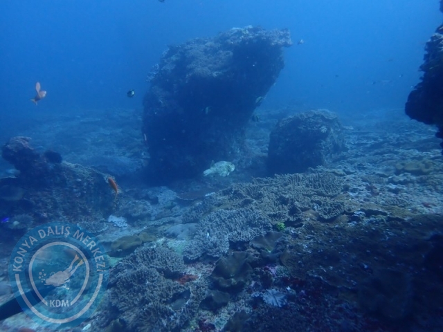 02-13 Eylül BALİ