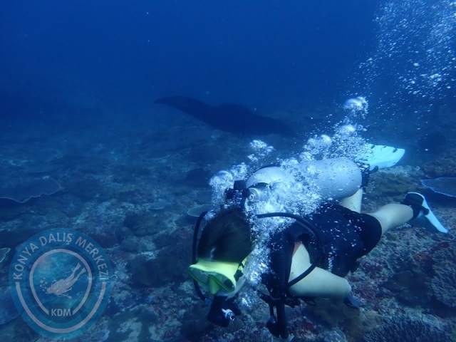 02-13 Eylül BALİ