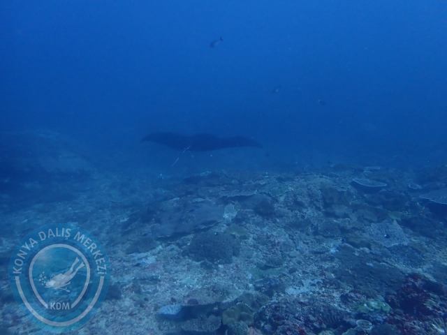 02-13 Eylül BALİ