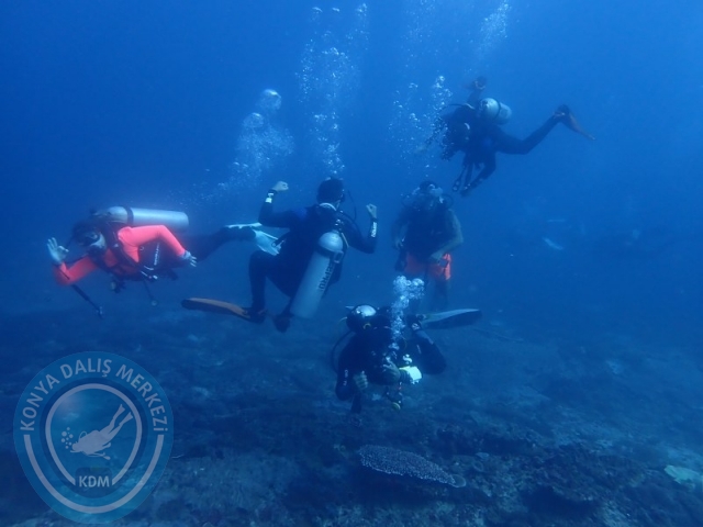 02-13 Eylül BALİ