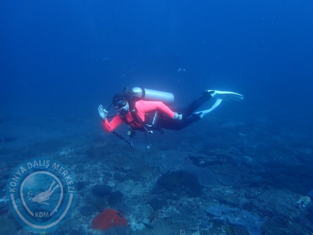 02-13 Eylül BALİ