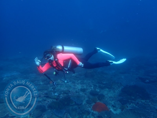 02-13 Eylül BALİ