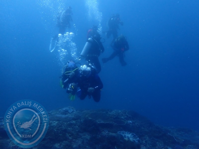02-13 Eylül BALİ