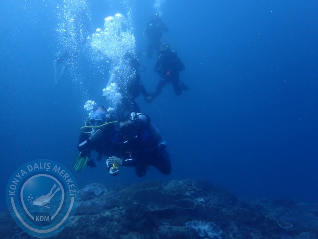 02-13 Eylül BALİ