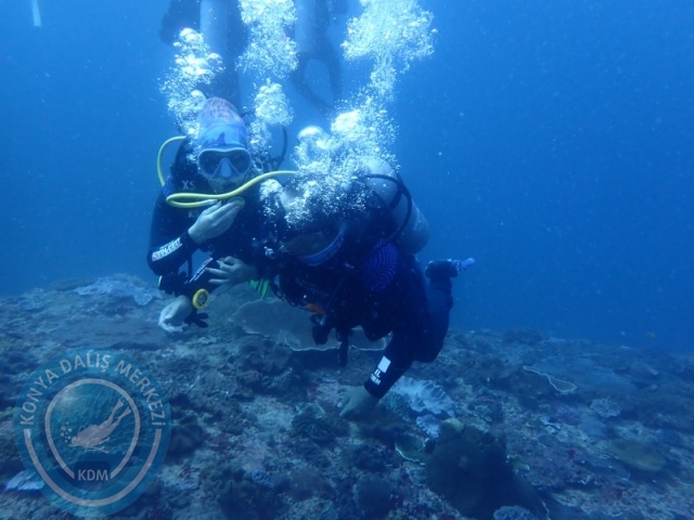 02-13 Eylül BALİ