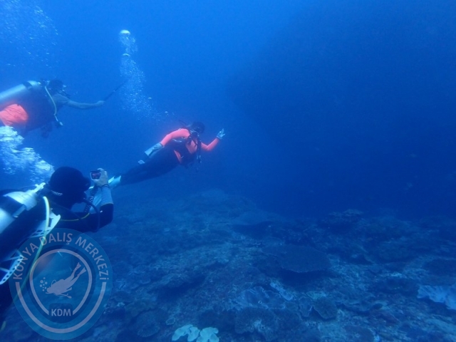02-13 Eylül BALİ