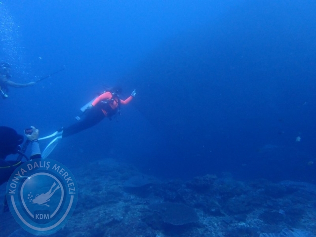 02-13 Eylül BALİ