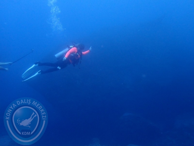 02-13 Eylül BALİ