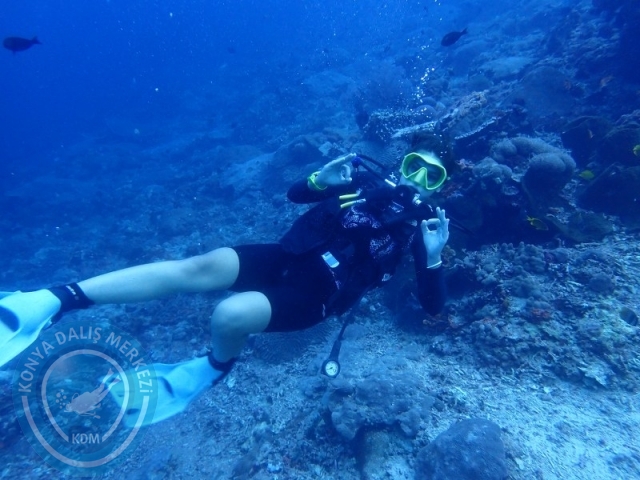 02-13 Eylül BALİ