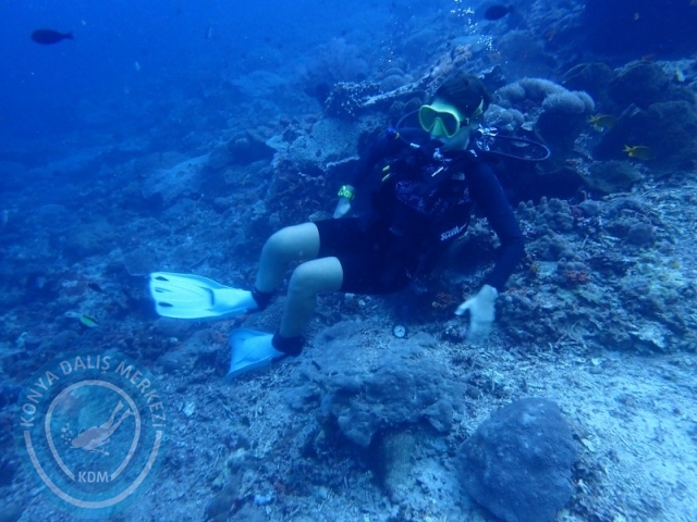 02-13 Eylül BALİ