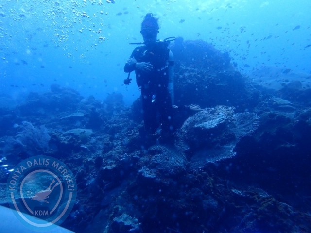 02-13 Eylül BALİ