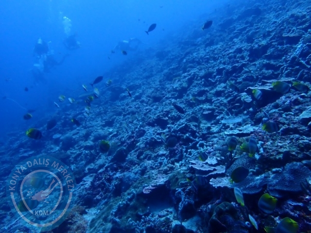 02-13 Eylül BALİ