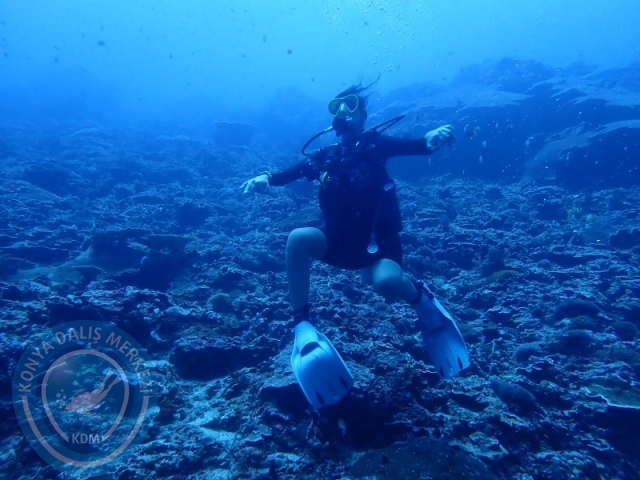 02-13 Eylül BALİ