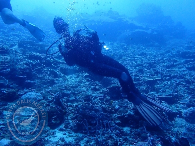 02-13 Eylül BALİ