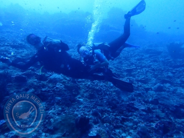 02-13 Eylül BALİ