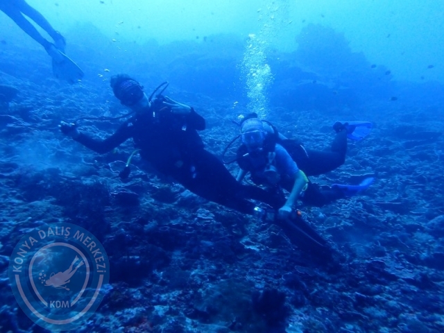02-13 Eylül BALİ