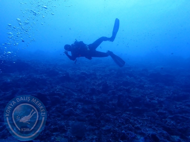 02-13 Eylül BALİ