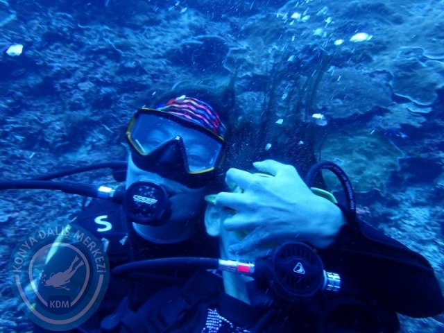 02-13 Eylül BALİ