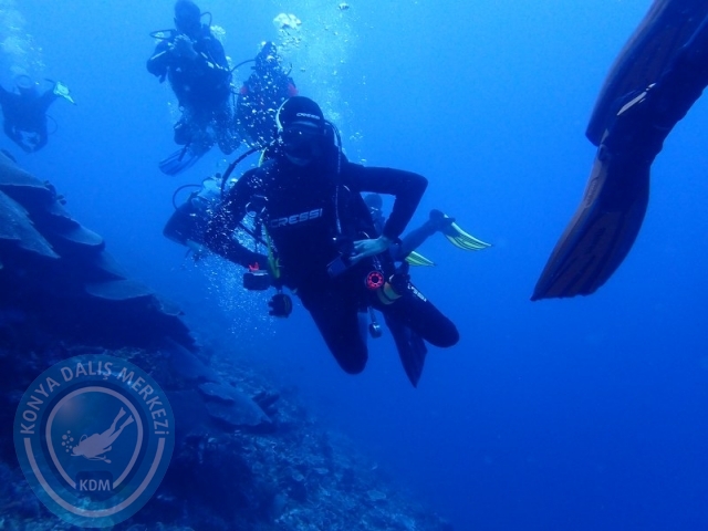 02-13 Eylül BALİ