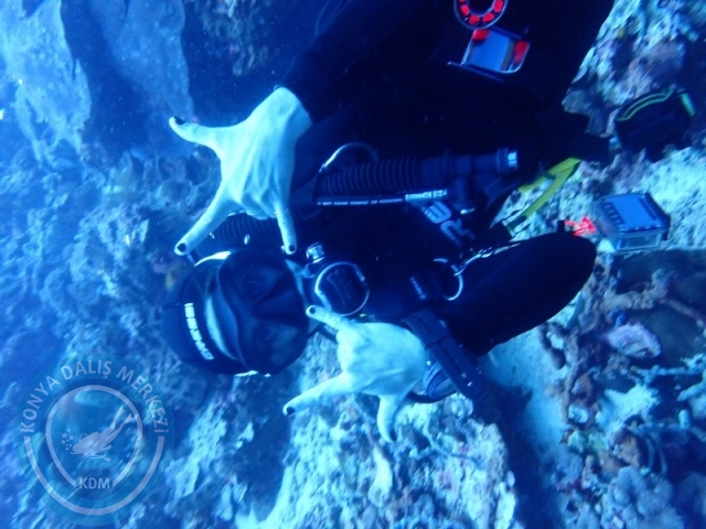 02-13 Eylül BALİ