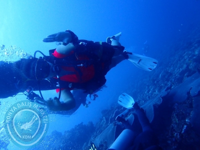 02-13 Eylül BALİ