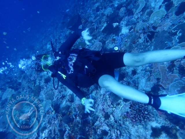 02-13 Eylül BALİ
