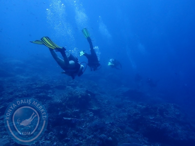 02-13 Eylül BALİ