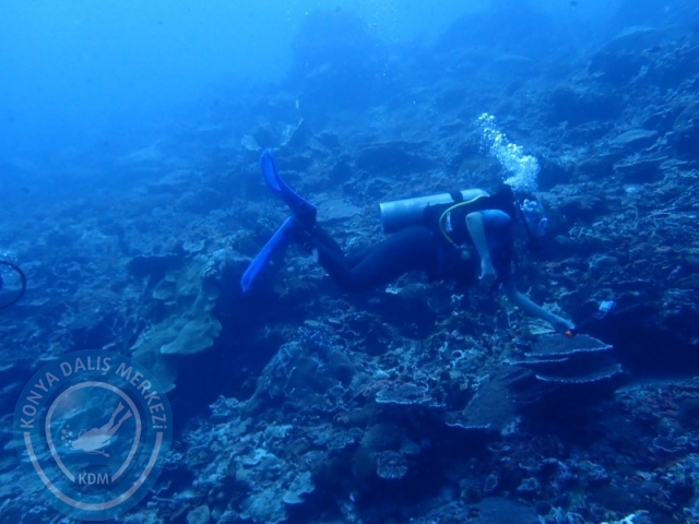 02-13 Eylül BALİ