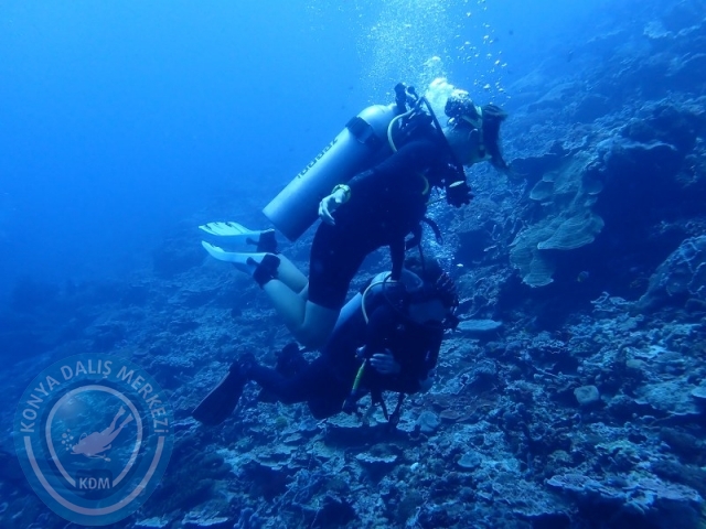 02-13 Eylül BALİ