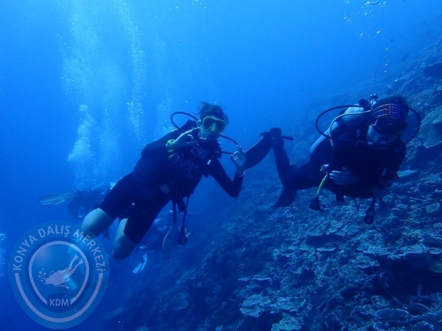 02-13 Eylül BALİ