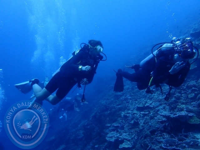 02-13 Eylül BALİ