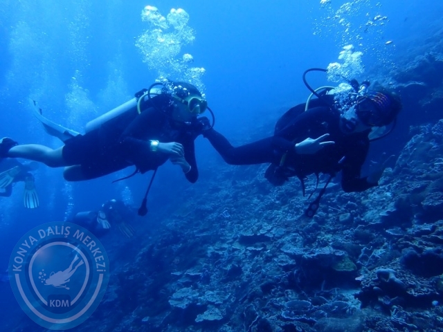 02-13 Eylül BALİ