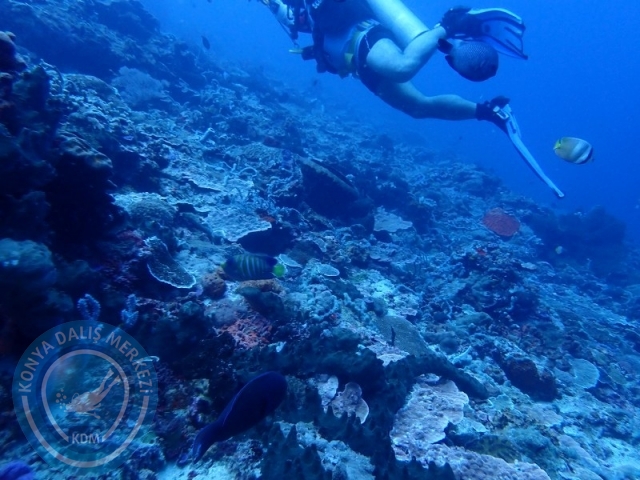02-13 Eylül BALİ