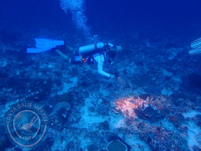 02-13 Eylül BALİ