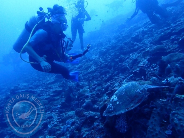 02-13 Eylül BALİ