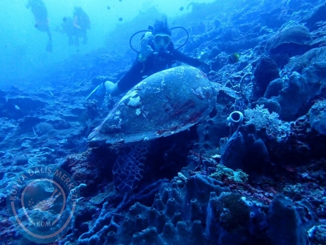 02-13 Eylül BALİ