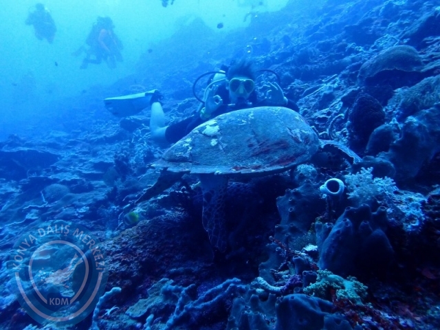 02-13 Eylül BALİ