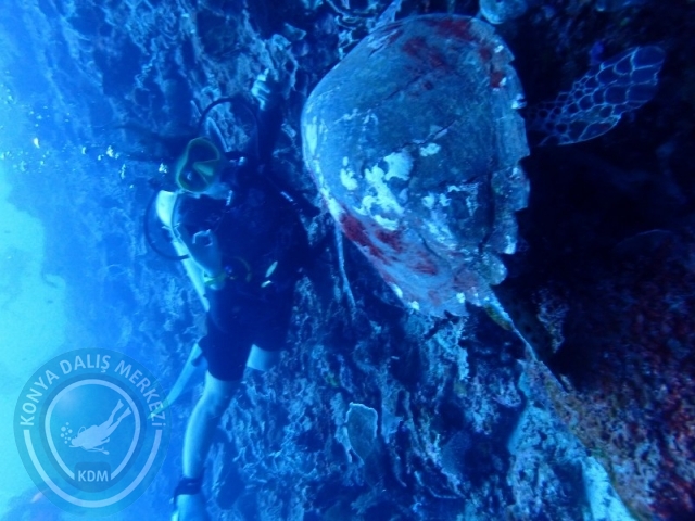 02-13 Eylül BALİ